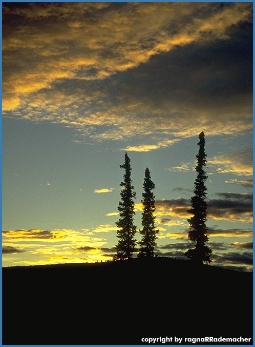Alaska Bilder: Chena Marina RV Park in Fairbanks