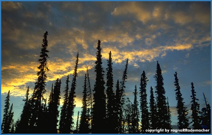 Alaska Bild: Chena Marina RV Park in Fairbanks