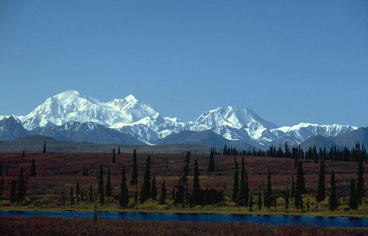 Alaska Bild: Denali National Park - Mt.McKinley