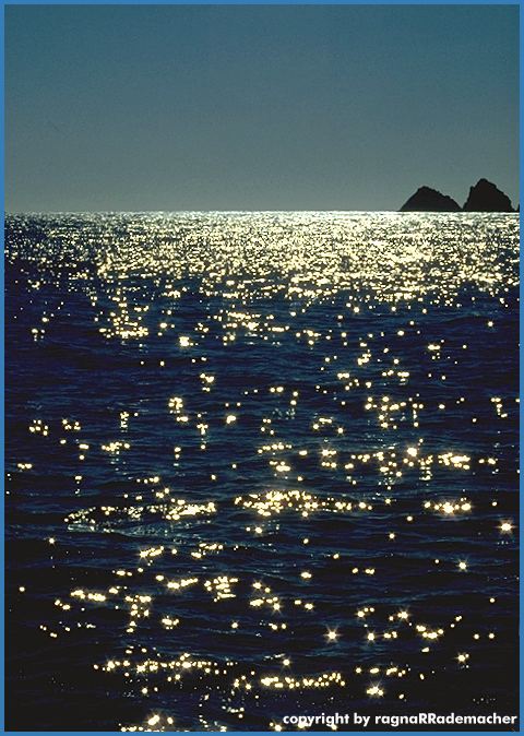 Alaska Bild: Kenai Fjord National Park