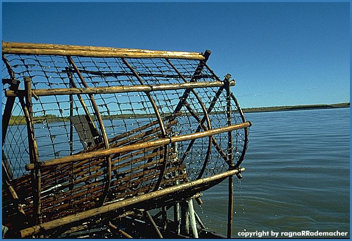 Alaska Bild: Fort Yukon - Yukon River