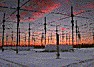 HAARP