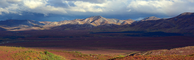 Abenteuer Alaska - Indian Summer im Denali Nationalpark in Alaska. (c) ZDF und Kay Siering