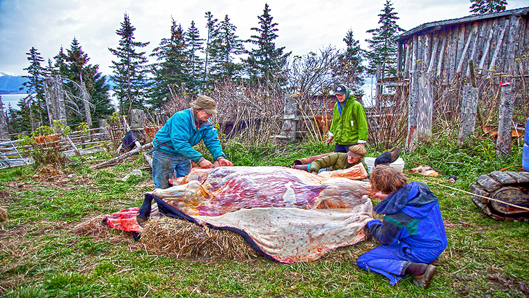 Alaska: Am Rande der Zivilisation (c) Discovery Channel